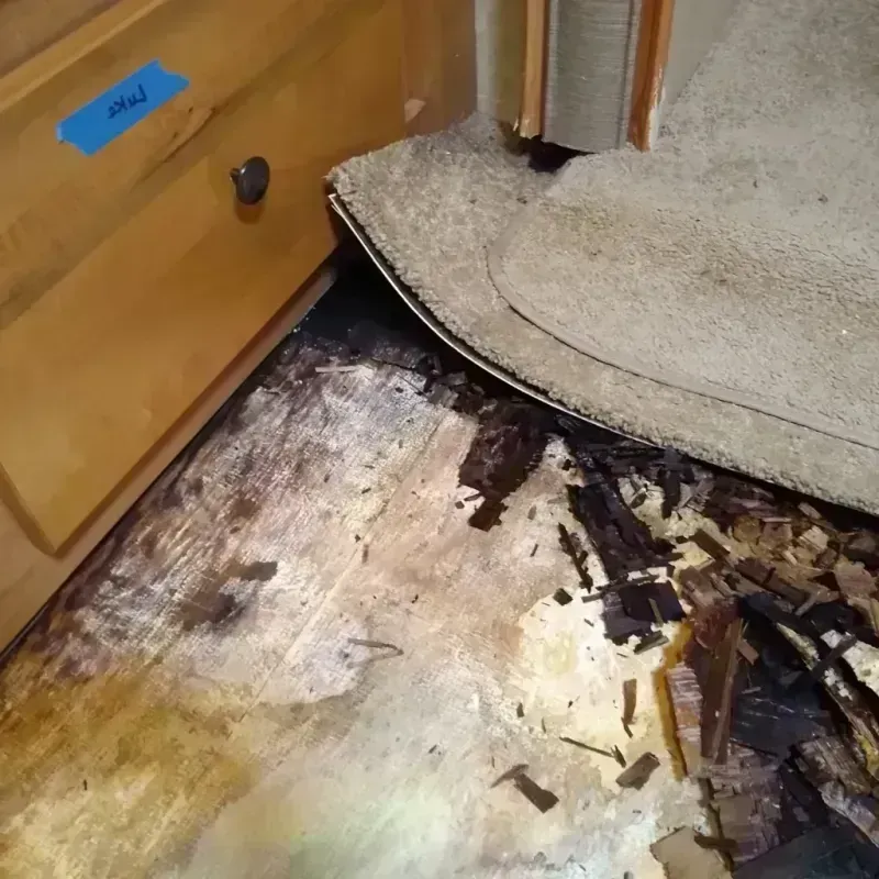 Wood Floor Water Damage in Mitchell, NE